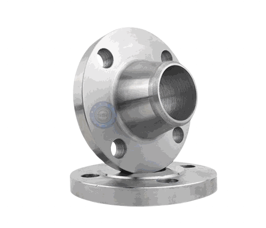 MS Flange ASA 150# WNRF